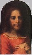 Christ the Redeemer ff, Andrea del Sarto